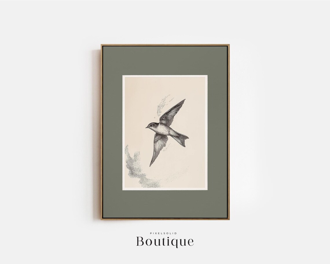 Swift Bird Art Print Black White Swallow Illustration For Nature Lovers Antique Style Wall Decor Rustic Home No480