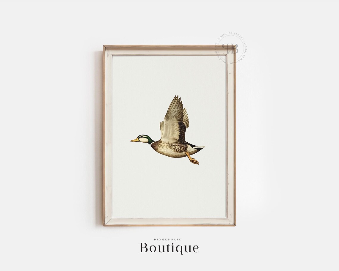 Flying Mallard Duck Minimalist Vintage Bird Illustration Poster