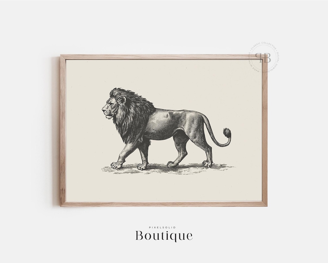 Walking Lion Vintage Black White Safari Engraving Wildlife Poster