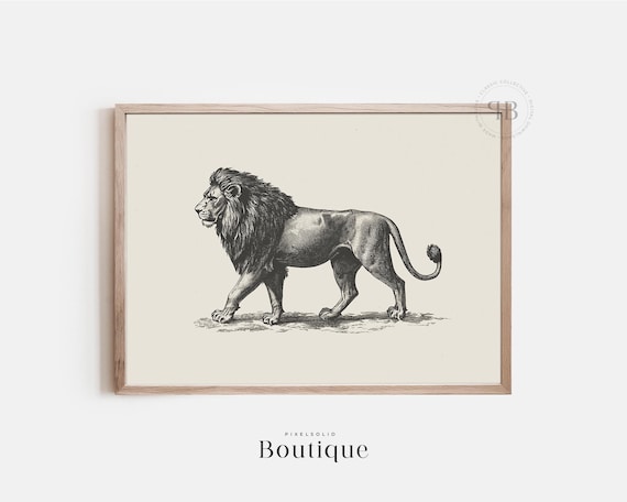 Lion Artwork Vintagestyle Black And White Wildlife Illustration Print Safari Animal Wall Art Lodge Decor No597