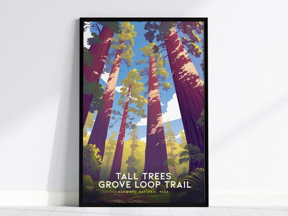 Tall Trees Grove Loop Trail Redwood National Park Forest Poster