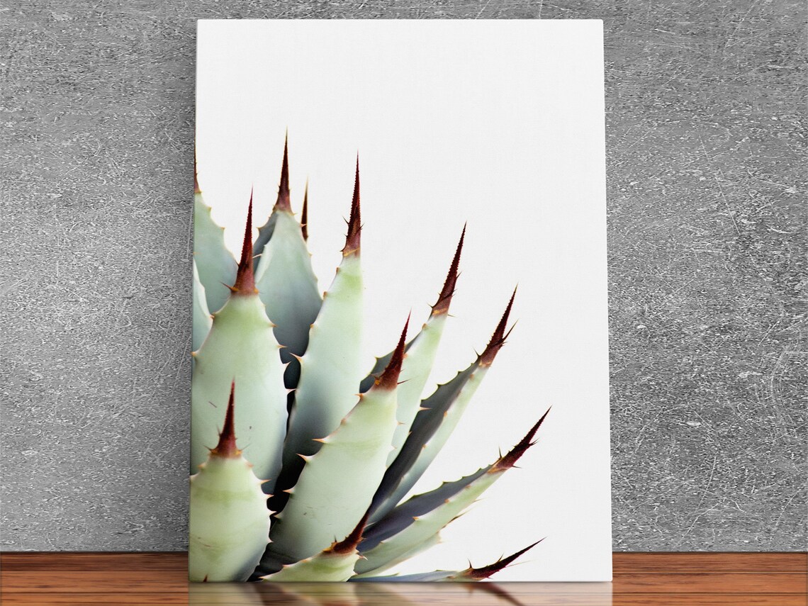Desert Cactus Art Print, Modern Botanical Decor - Image 3
