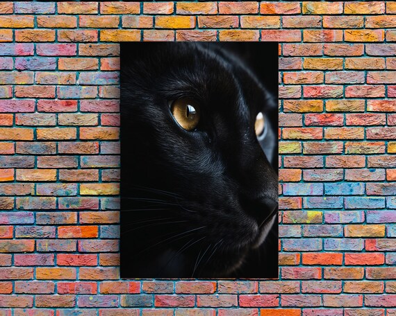 Black Cat Close Up Amber Eye Dramatic Dark Feline Portrait Photo Poster
