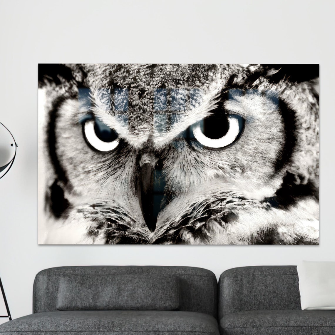 Dramatic Intense Black And White Owl Eyes Portrait Wildlife Wall Art
