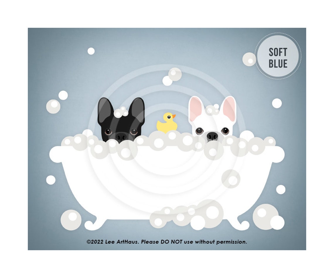 Two French Bulldogs In Bubble Bath With Rubber Duck Dog Poster - Image 2