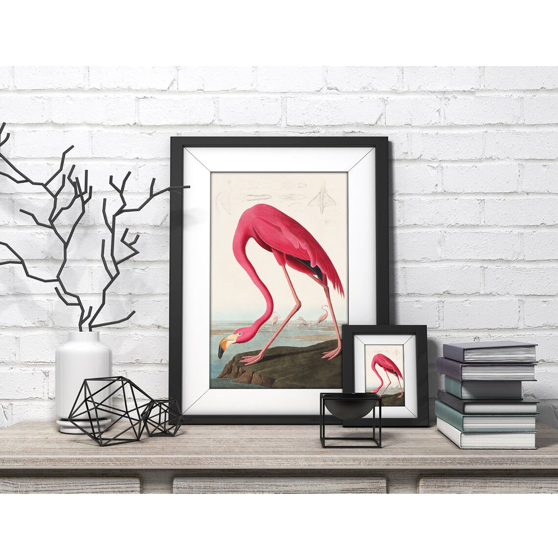 John James Audubon Pink Flamingo Vintage Bird Illustration Poster - Image 4