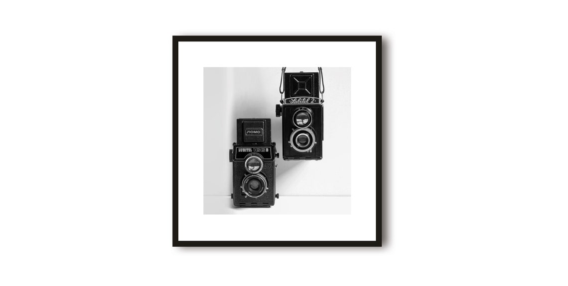 Pair of Vintage Twin Lens Reflex Cameras Black White Photo Poster