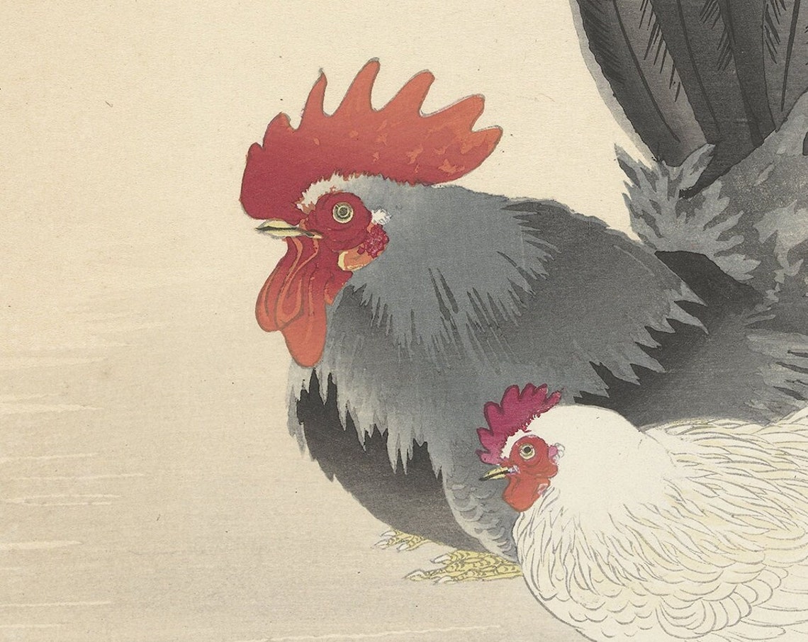 Ohara Koson Chicken And Rooster 1920 Japanese Woodblock Art Print