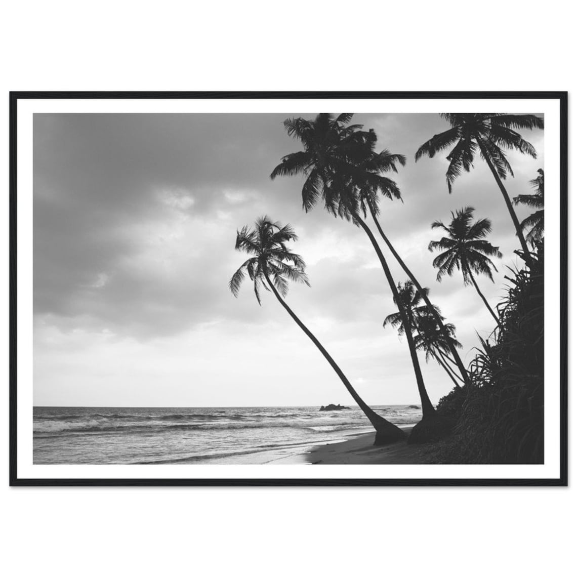 Black And White Palm Trees Ocean Shoreline Fine Art Photo Poster
