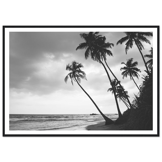 Black And White Palm Trees Ocean Shoreline Fine Art Photo Poster