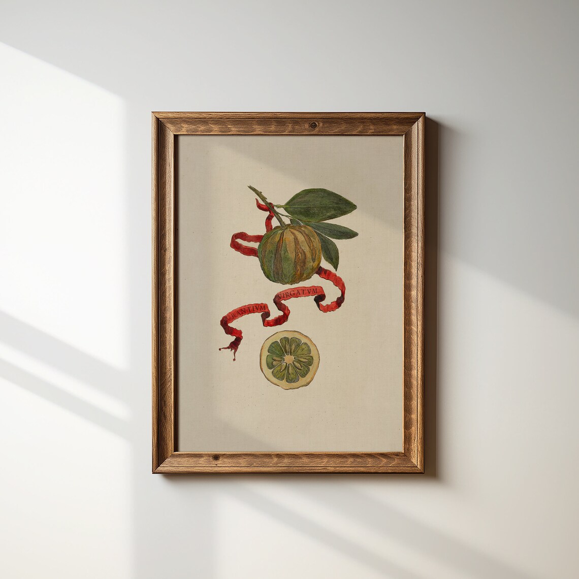 Vintage Citrus Still Life Art Print, Cottage Core Decor - Image 2