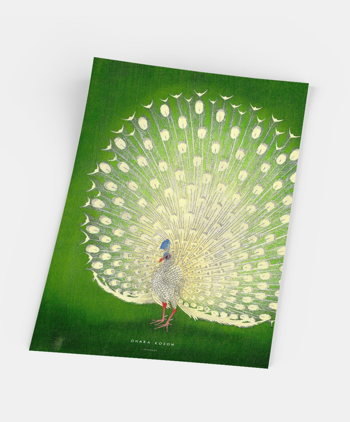 Japanese Peacock Poster, Ohara Koso Nature Art Print - Image 5