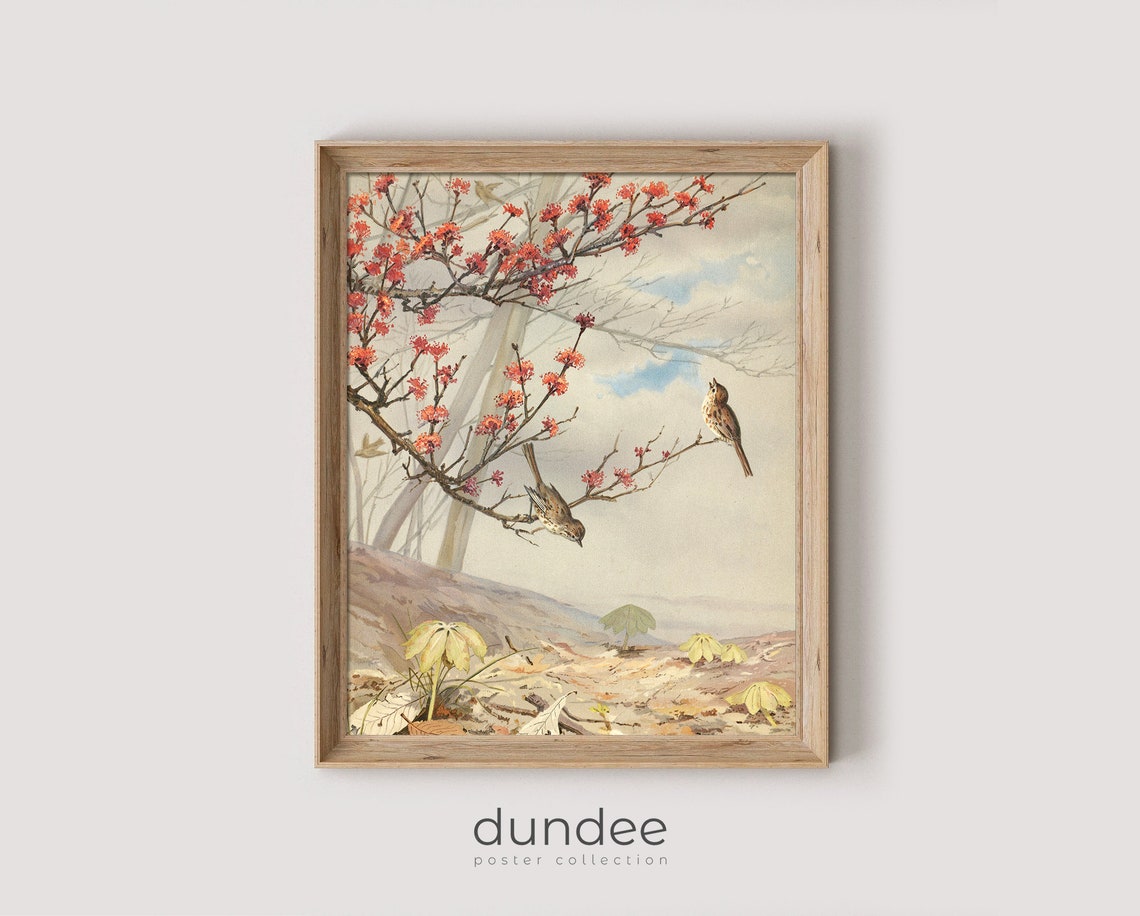 Vintage Birds On Blossoming Branch Red Flowers Antique Art Poster
