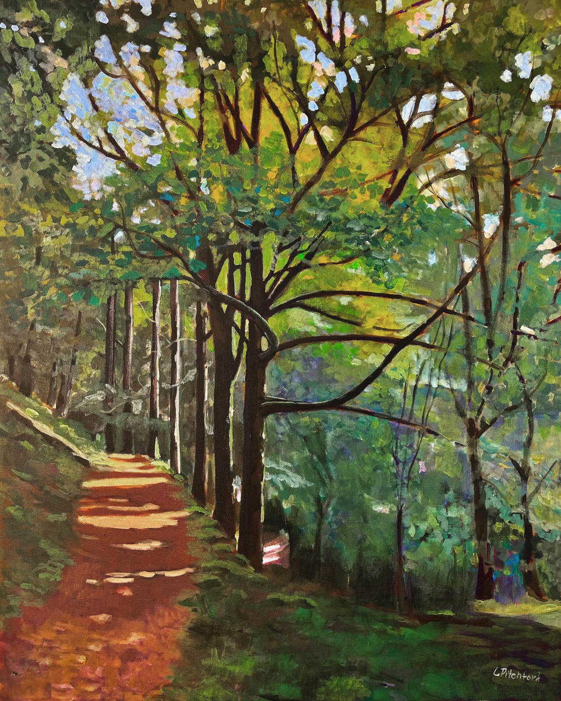 Sun Dappled Forest Trail Winding Through Tall Green Trees Poster