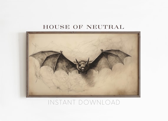 Vintage Bat Sketch Drawing Spread Wings Antique Scientific Halloween Poster