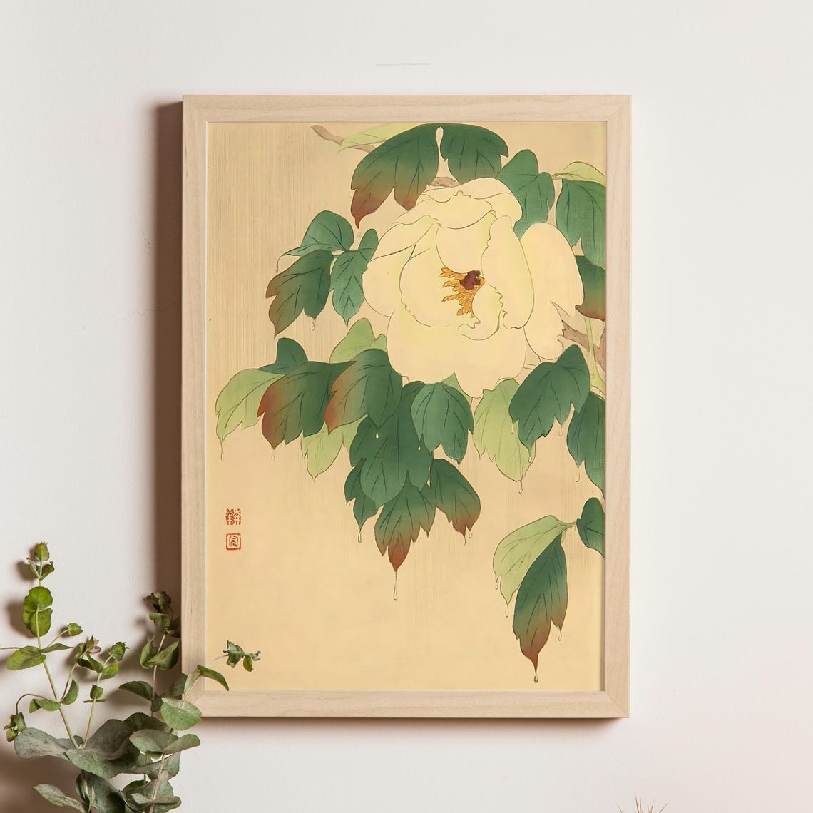 White Peony with Rain Drops in Japanese Botanical Woodblock Poster