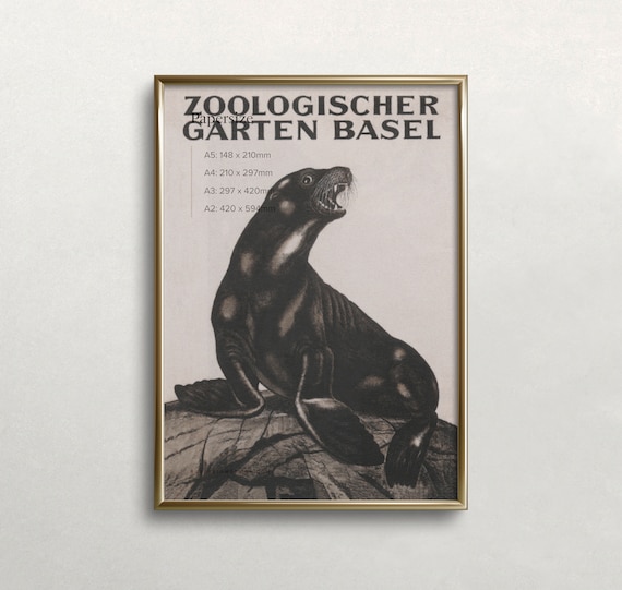 Seal Wall Art Black And White Art Vintage Wall Art Zoo Wall Art Animal Wall Art Vintage Seal Print Wall Art