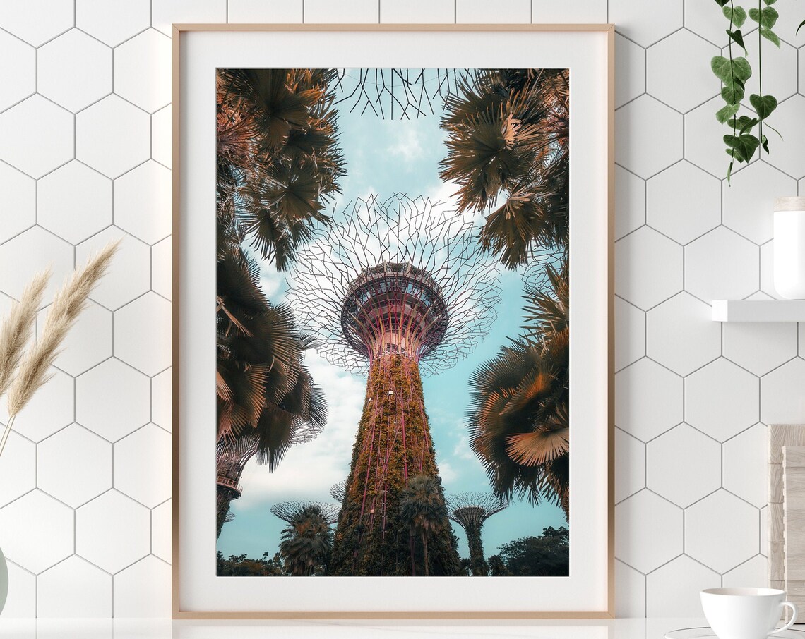 Singapore Supertrees Gardens By The Bay Skyward Palm View Poster - Image 3