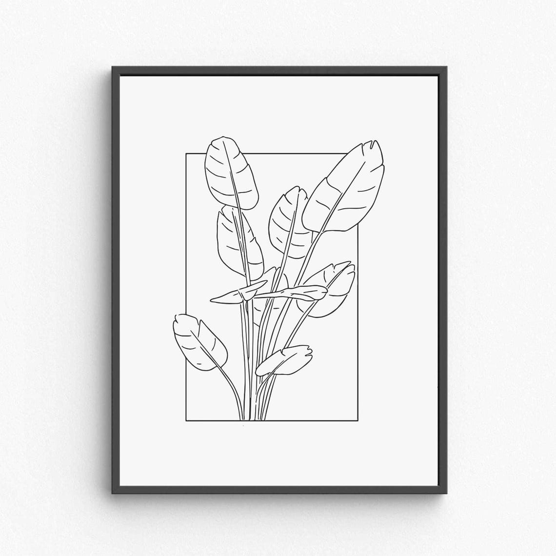 Tropical Leaves Line Art Banana Leaf Botanical Minimalist Poster