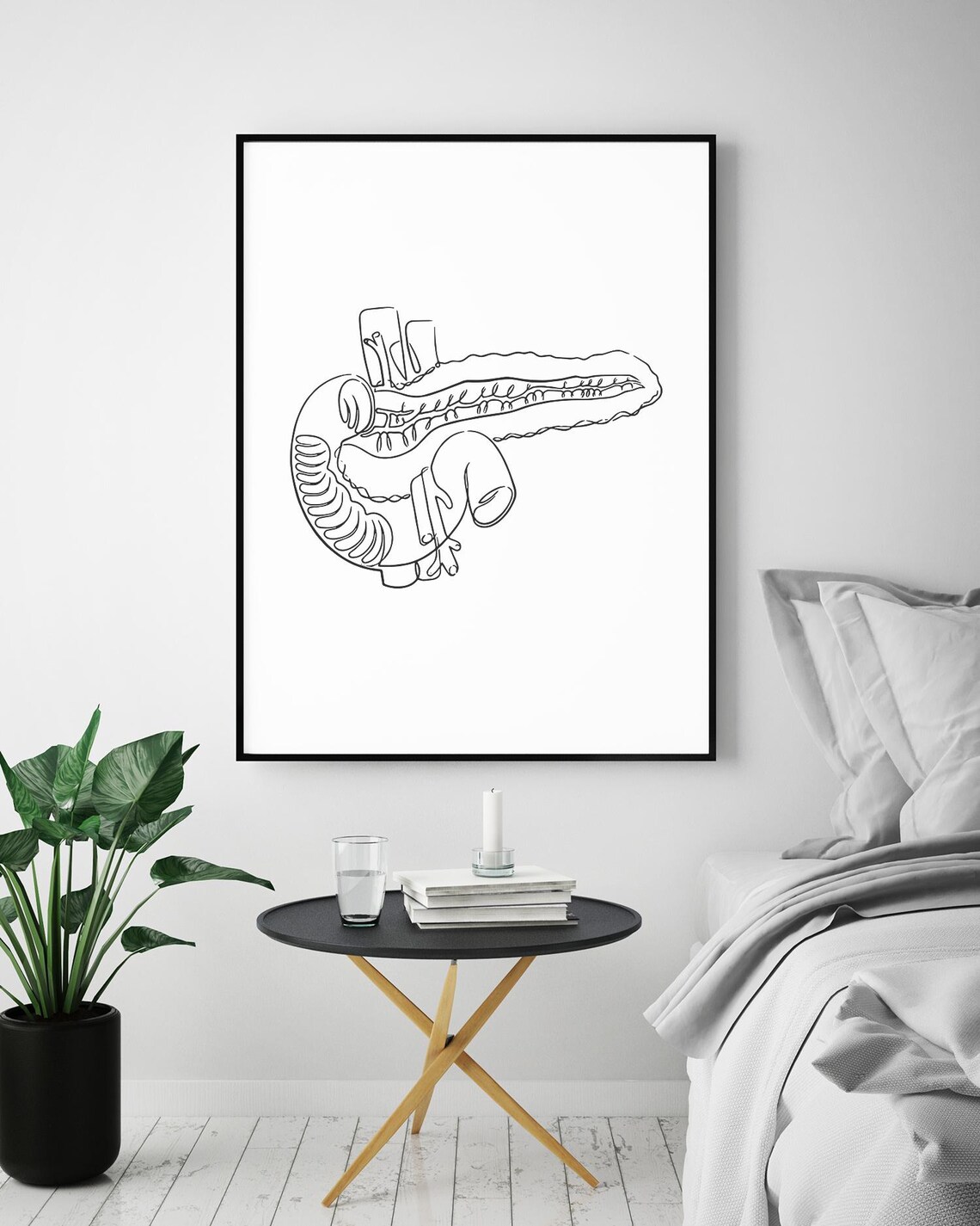 Pancreas Anatomy Line Art Medical Organ Illustration Modern Poster - Image 5