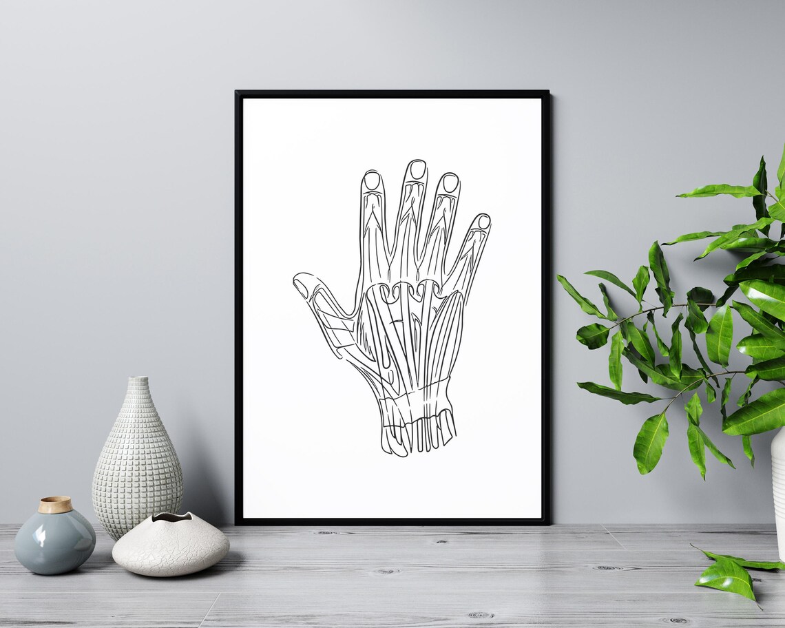 Hand Muscles Anatomy Line Art Medical Illustration Office Poster - Image 3