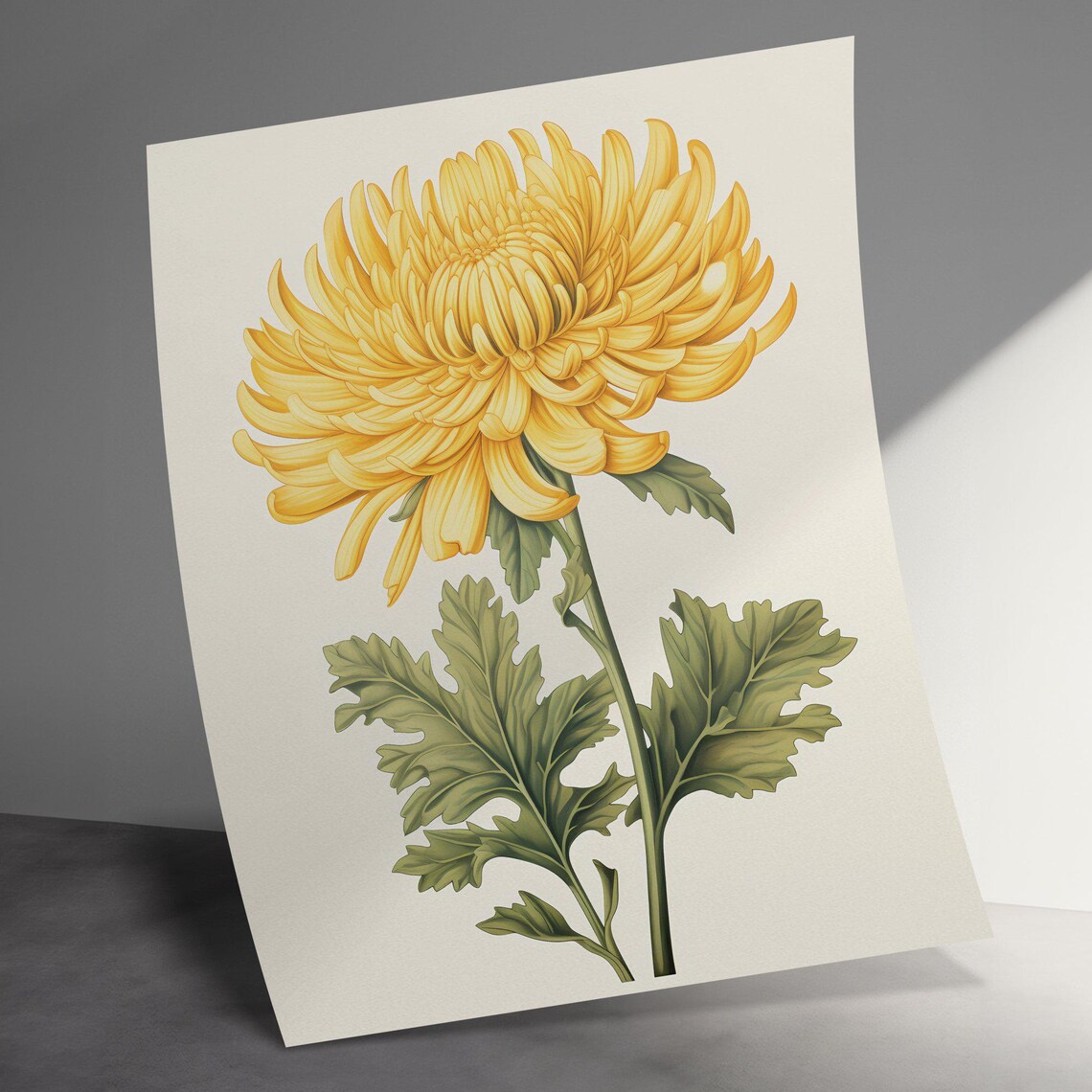 Botanical Art Print, Vintage Chrysanthemum Artwork - Image 2