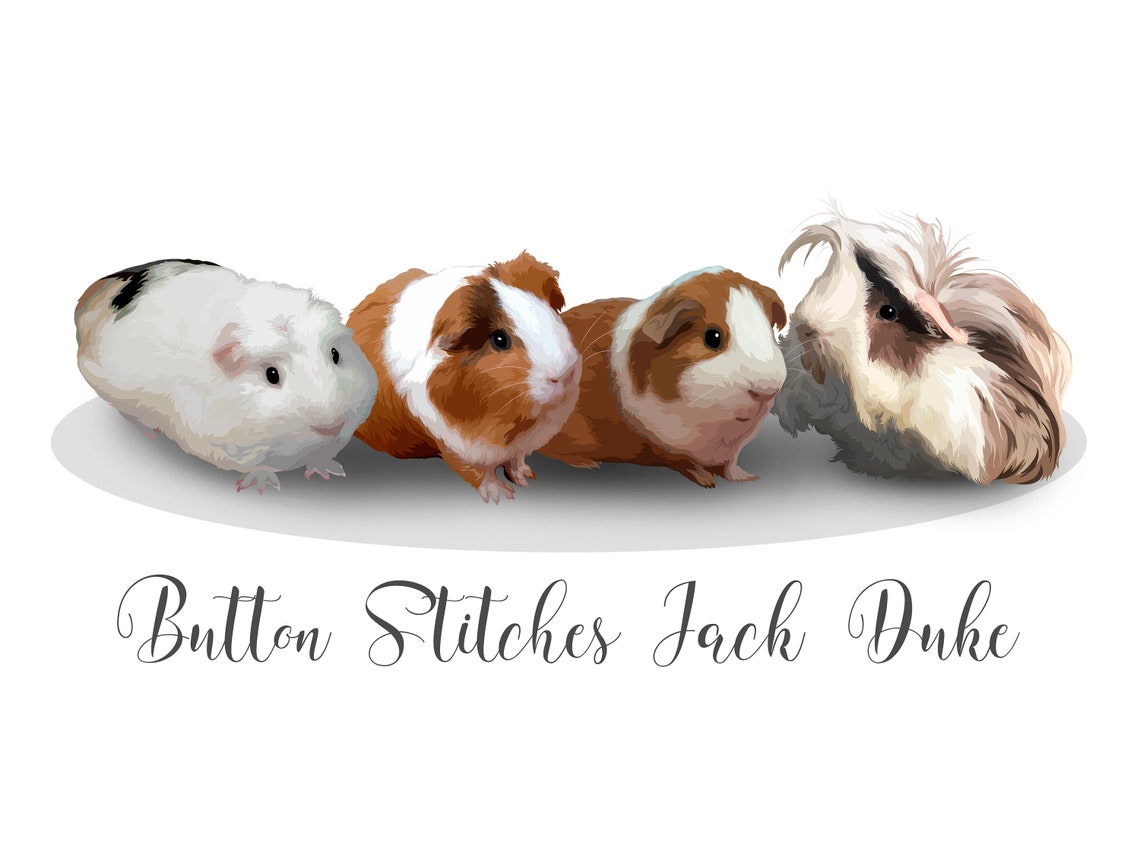 Custom Portrait of Five Guinea Pigs Regal Pet Lover Gift Wall Art - Image 5
