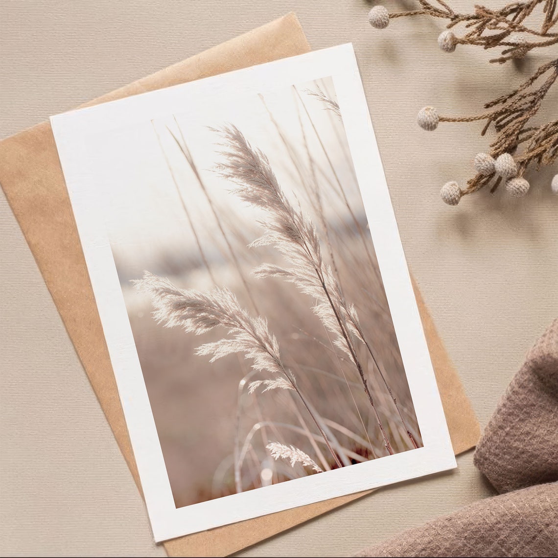 Backlit Pampas Grass Neutral Botanical Photography Art Print
