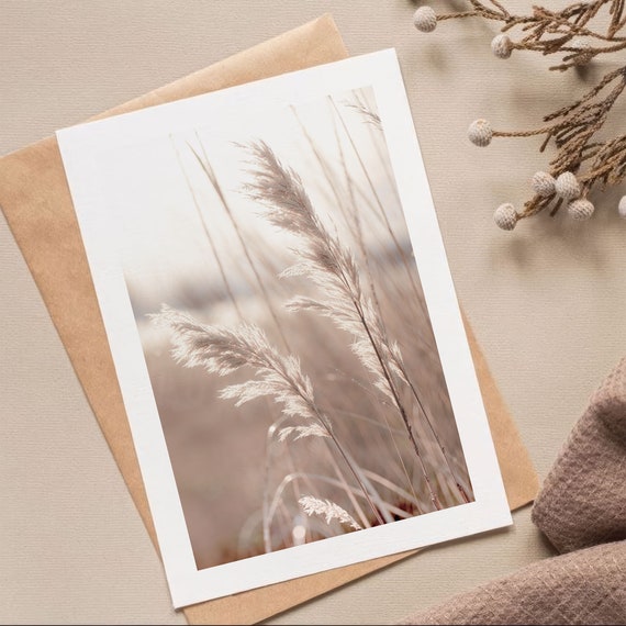 Reed Grass Poster Nature Photography Of Gentle Pampas Grass Blades At Sunset