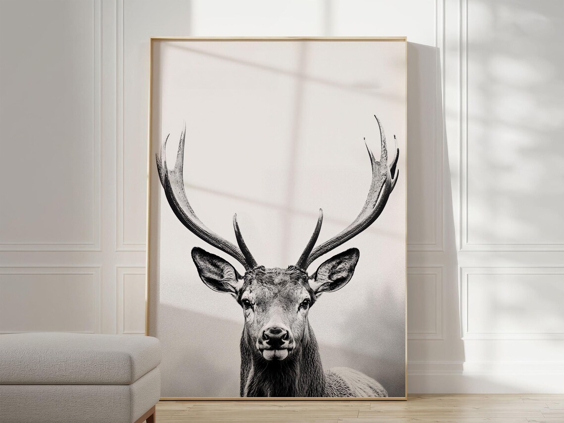 Majestic Deer Black and White Poster Print