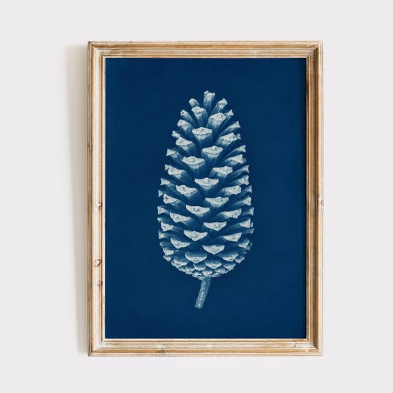 Pine Cone Cyanotype, Minimalist Wall Art