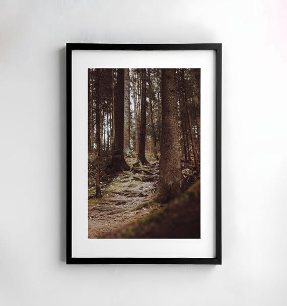 Forest Photography Nature Wall Art Poster Fine Art Print Nature Photography Decor Art Wall Design Trees