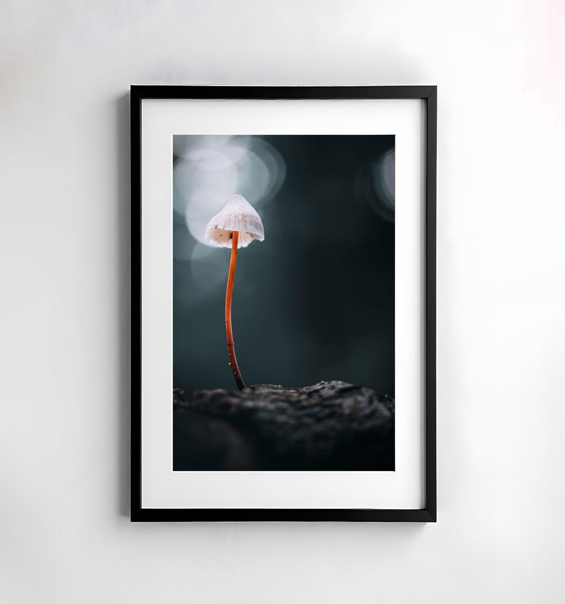 Tiny Orange Stemmed Mushroom Glowing on Dark Bark Macro Poster