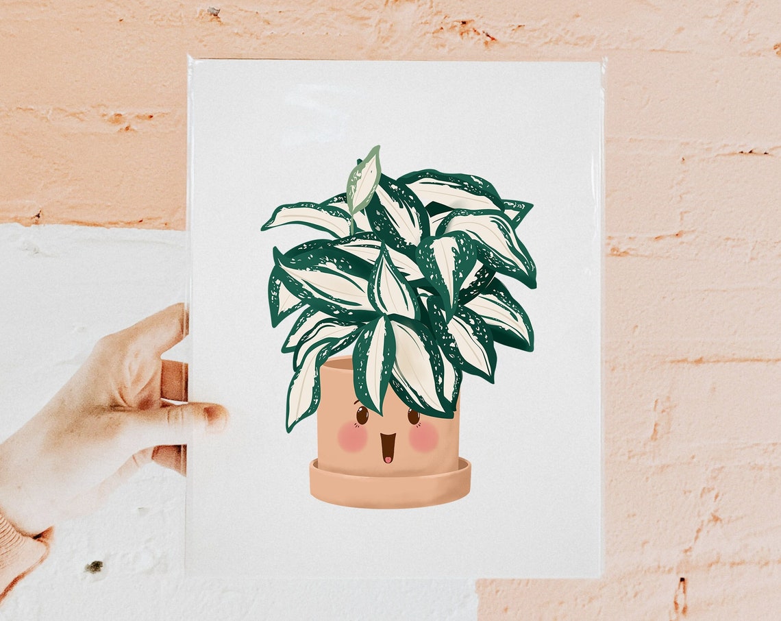Variegated Dracaena in a Smiling Peach Pot Cute Houseplant Poster