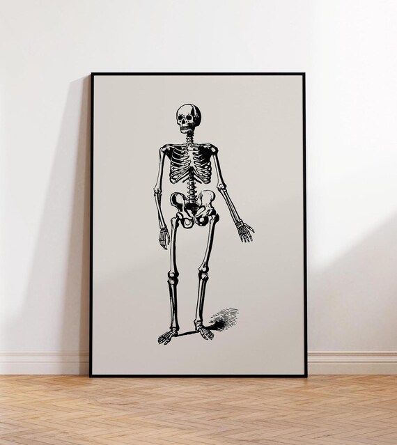 Standing Human Skeleton Vintage Anatomy Illustration Halloween Poster