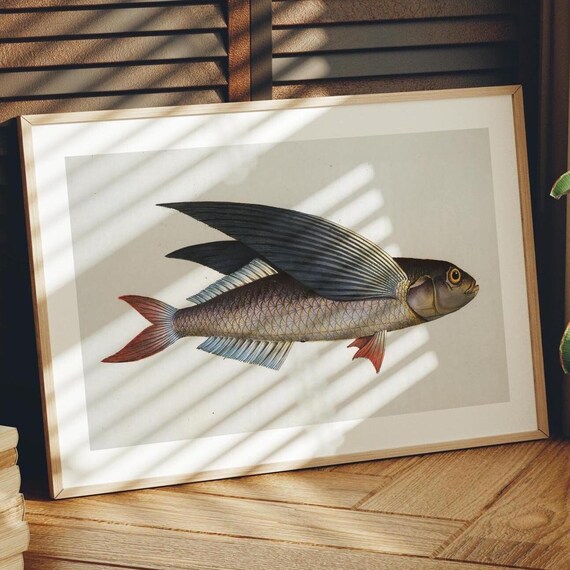 Vintage Flying Fish Print Fishing Gift For Dad Fish Art Poster Home Office Decor Hunting Fishing Art Angler Wall Art Gift For Fisherman