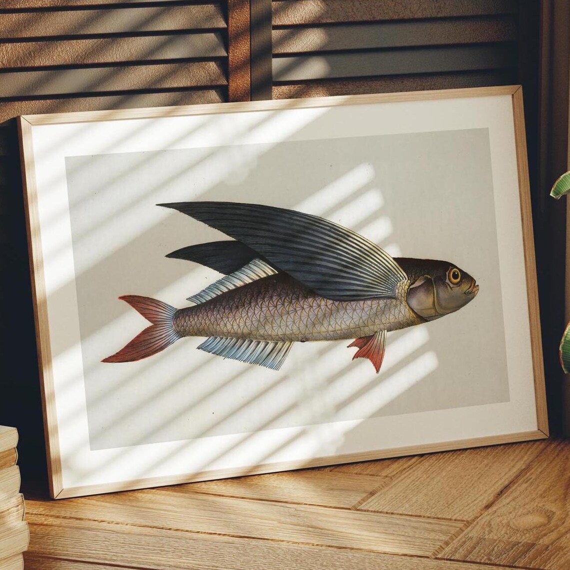 Flying Fish Vintage Naturalist Marine Illustration Art Poster