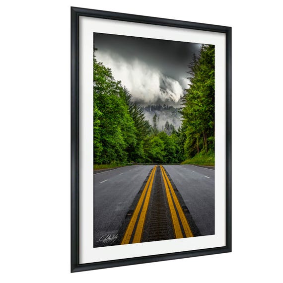 Redwood Forest Wall Art Foggy Morning Road Panoramic Canvas