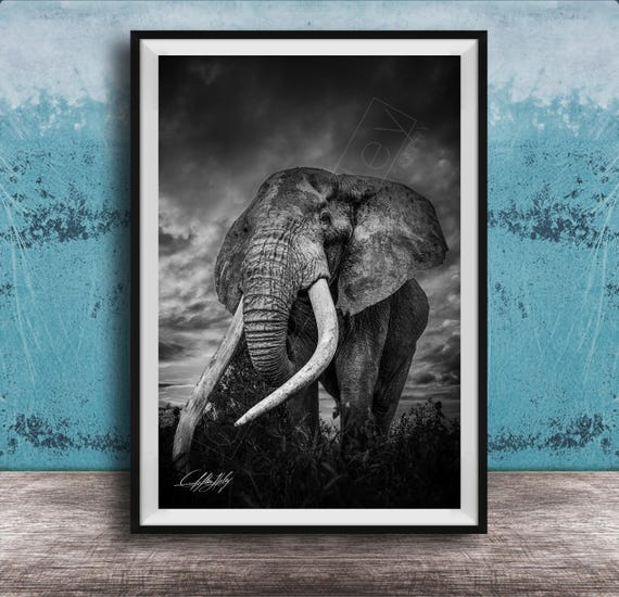 Tusker Elephant Wall Art Kenyan Safari Sunset Hand Signed Canvas