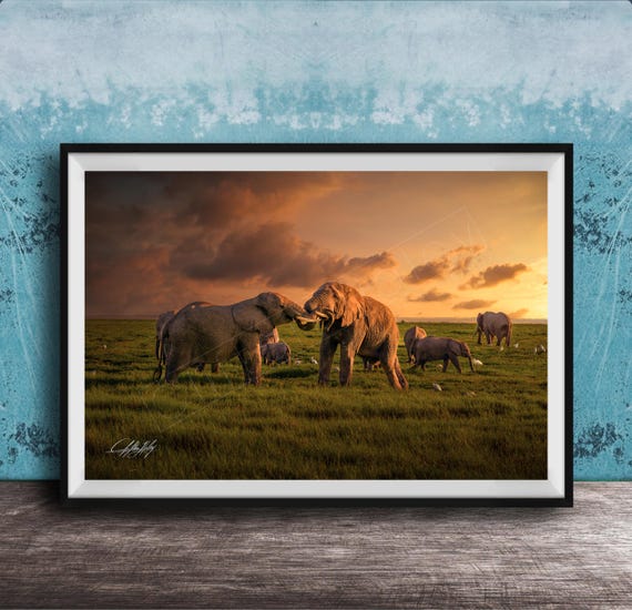 African Elephant Print Sunrise Battle Scene Hand Signed Artwork