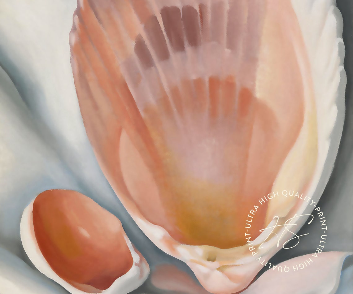Georgia O'Keeffe Pink Shell 1937 Botanical Seashell Museum Art Print - Image 4