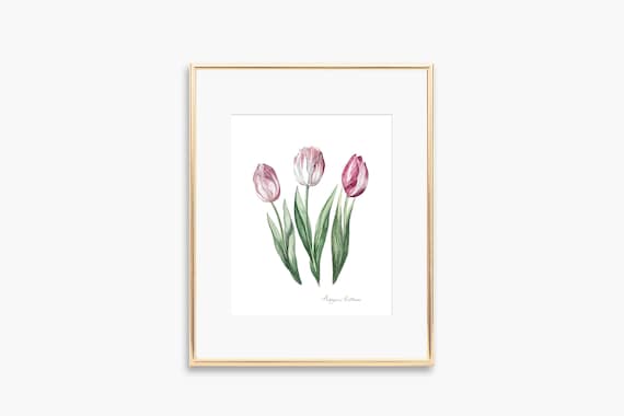 Pink Tulip Trio Delicate Watercolor Botanical Flower Art Poster