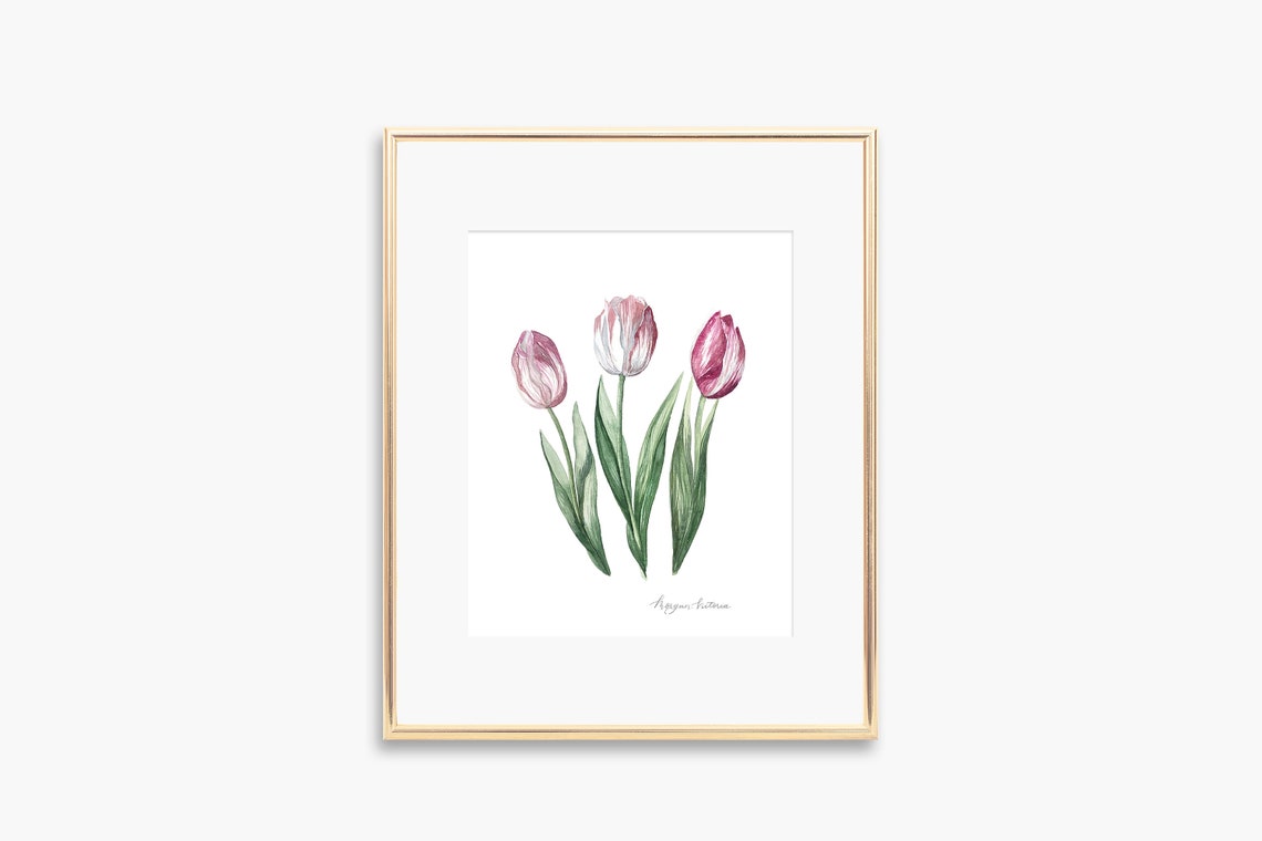 Pink Tulip Trio Delicate Watercolor Botanical Flower Art Poster