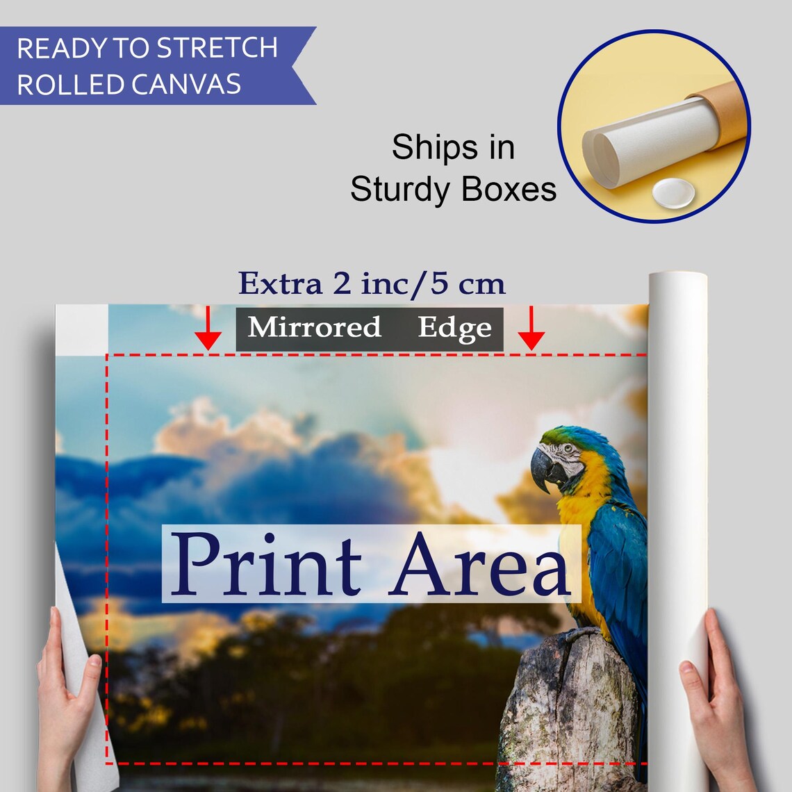 Blue And Yellow Macaw Parrot Perched At Sunset Tropical Photo Poster - Image 4