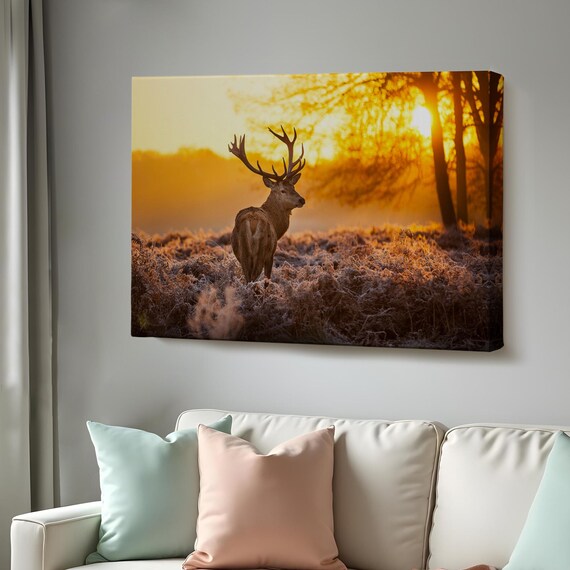Red Deer Stag With Antlers At Golden Sunrise Frosty Field Photo Poster