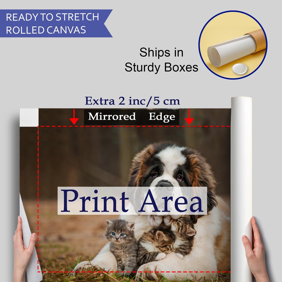 Saint Bernard Dog Cuddling Three Tiny Kittens Adorable Pets Photo Poster - Image 4
