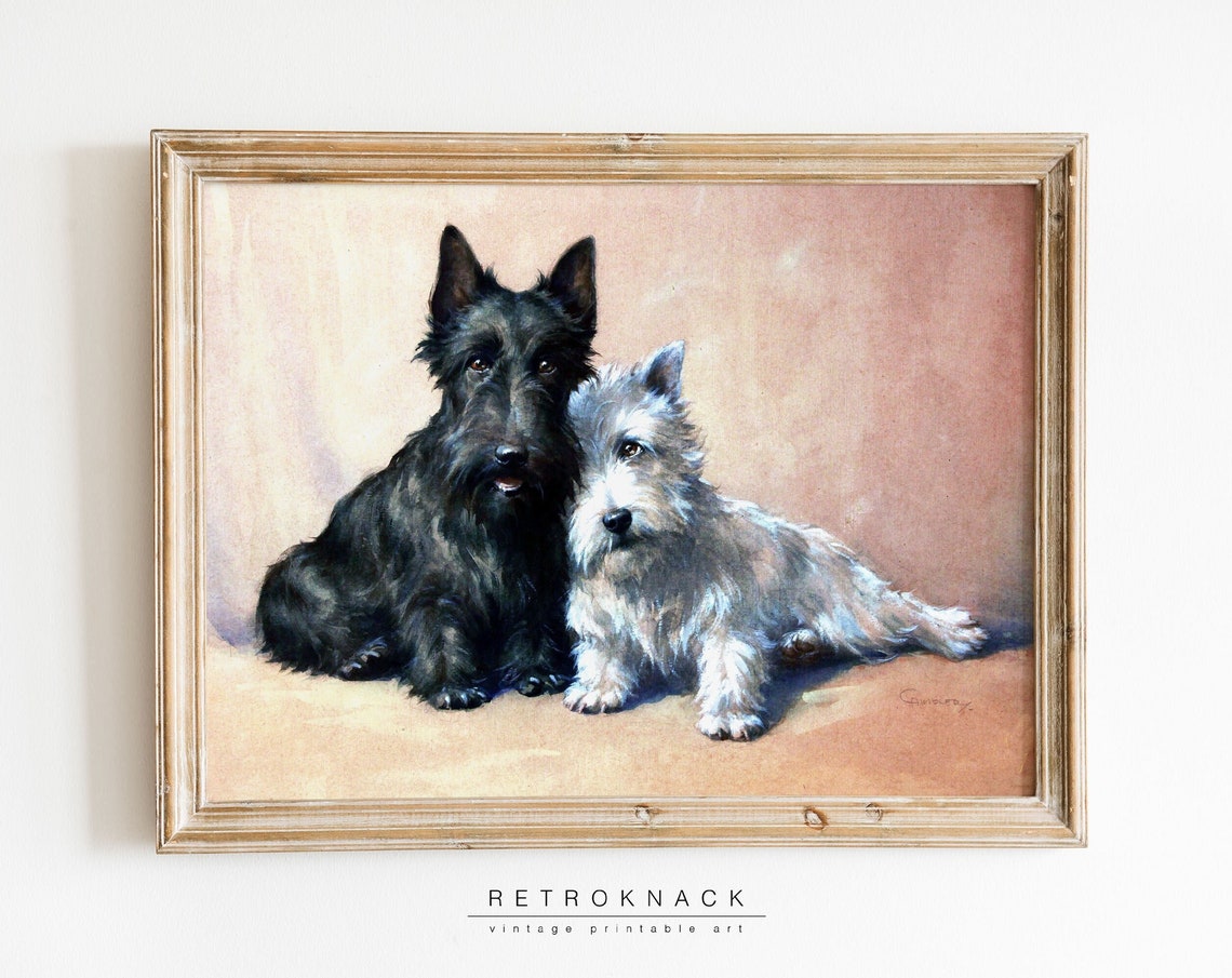 Scottish Terrier and West Highland Terrier Vintage Dog Portrait Poster
