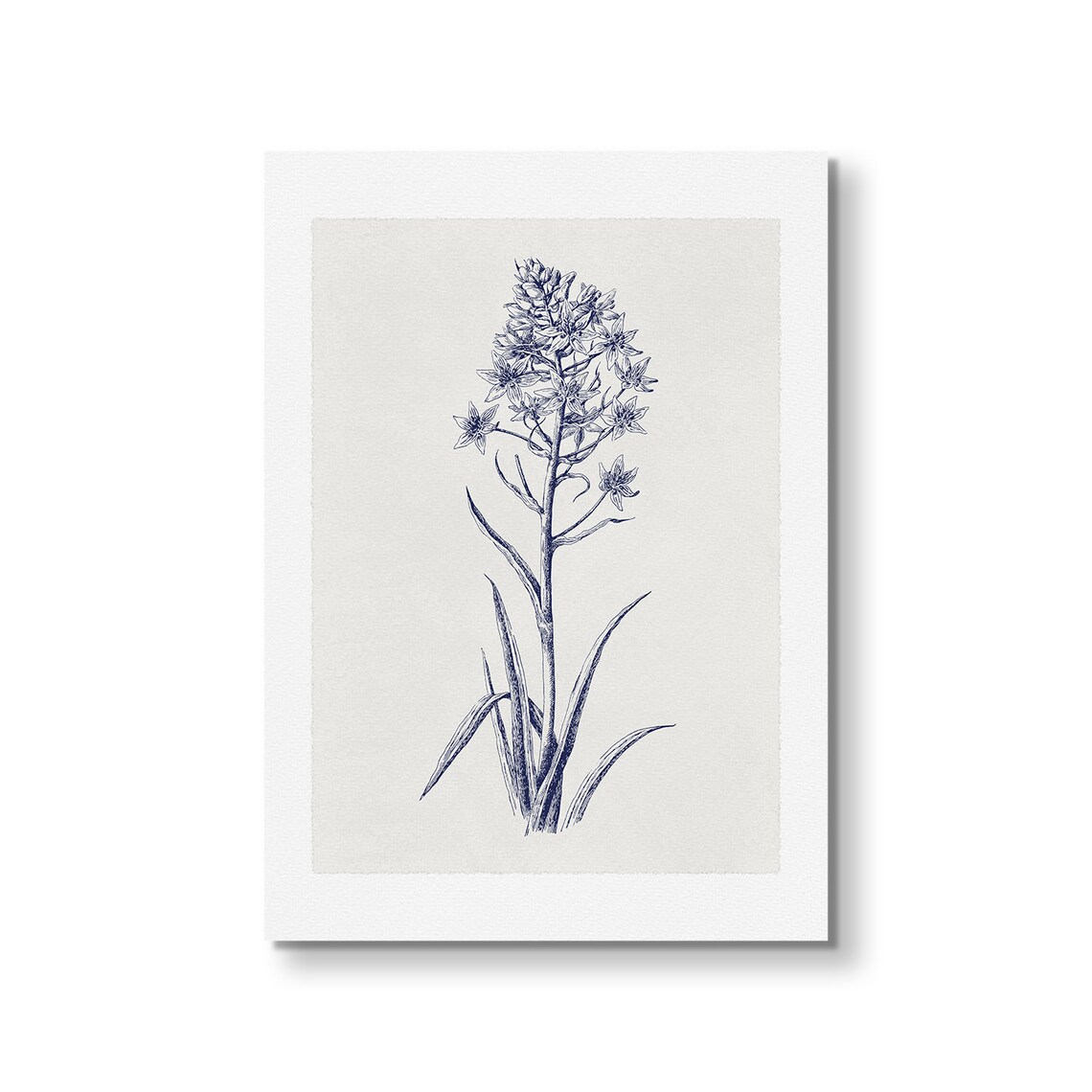 Antique Neutral Flower Sketch Vintage Botanical Art Print - Image 2