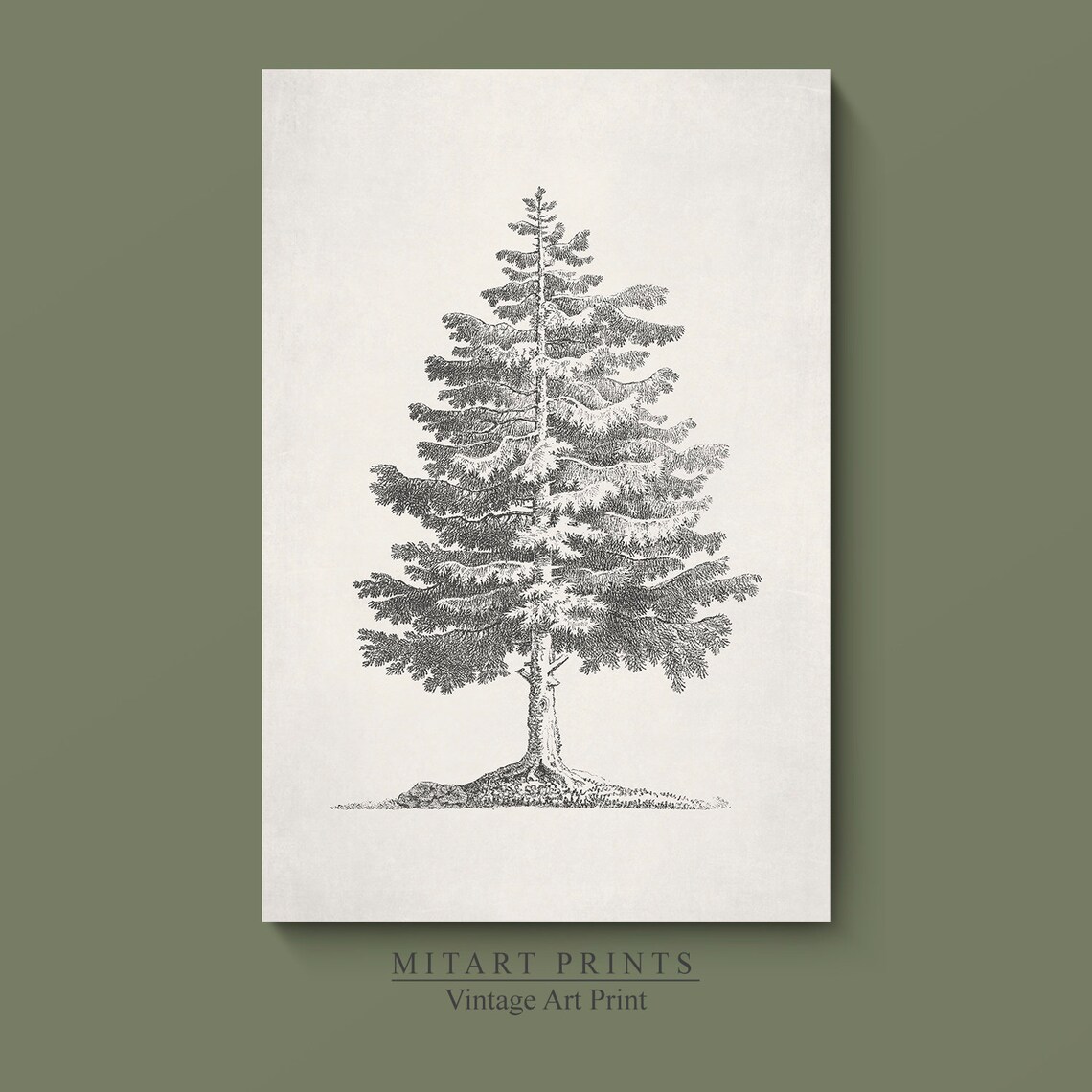 Vintage Pine Tree Christmas Tree Sketch Art Print - Image 2