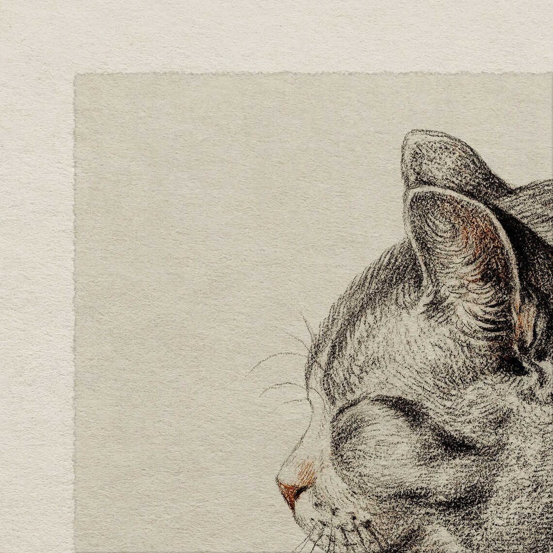 Vintage Cat Print, Farmhouse Nursery Room Art - Image 4